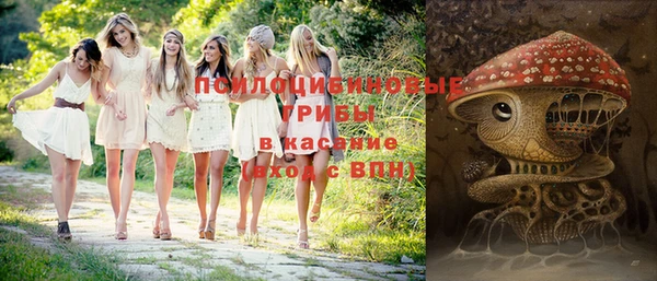 кокс Карпинск