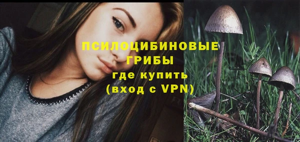 дурь Карталы